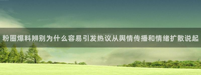 热门资讯动态