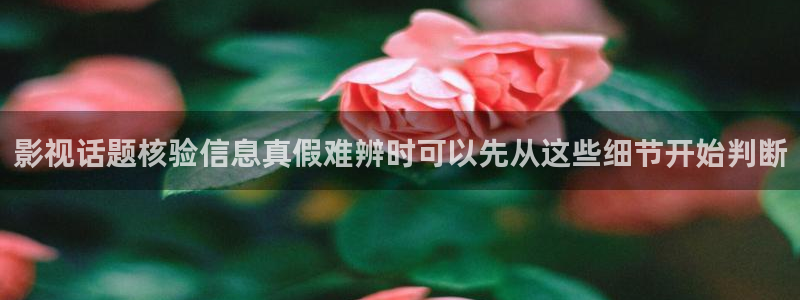 黑料爆料热点大全