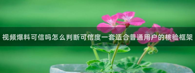 热点资讯排行