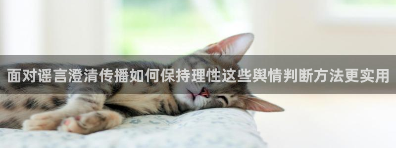 黑料爆料新闻